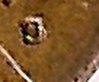 pennyslooksliked.jpg