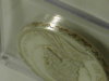 Dscn6084.jpg
