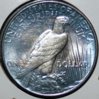 1925-REV (2).jpg