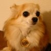 Gizzy 1-1.jpg