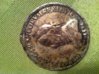 coin1.jpg