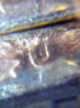 2010PLincolnDollar7.jpg