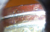 2010PLincolnDollar8CameraPhone2.jpg