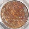 1918- PCGS WG Rb.JPG