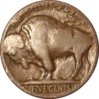 Figure_3_brown_Buffalo.jpg