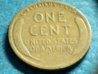 Z Follow Pic Cent 1918 A2.jpg