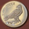 hawk_2_800rotated.jpg