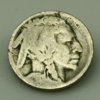 2012-1101NickelBuffaloS_o.jpg