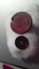coin?3.jpeg