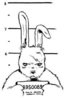 easterbunnymugshot.jpg