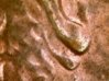 1984_ddo_12-458x339.jpg