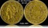 Cal. half dollar.jpg