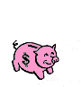 money14.gif