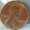 Z Follow Pic Cent 1978 A1.jpg