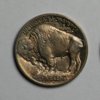 1913DType1BuffaloNickelReverse.jpg