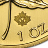 Maple Leaf.jpg