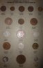 DSC01434.jpg