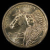2012D_Sacagawea_rev.jpg