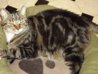 DSCF2452.jpg