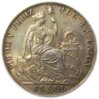 KM 196.24 Peru 1891 SOL TF obv.JPG