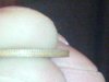 IMG_20121126_192239.jpg