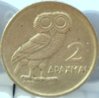 Z Owl 1 O.jpg