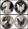 2012 S proof ase.jpg