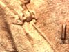 1205-4.jpg