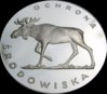 polish moose 2.jpg