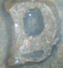 1957D 1B.jpg