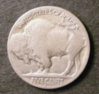 Cull Buffalo Rev.jpg