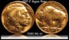 buffalo nickel edited.jpg