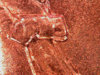 2006-tie.jpg