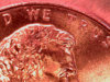 2006-tophead.jpg