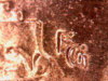2006-fg.jpg