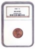 1889 cent obv.jpg