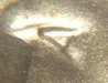 eye1.JPG