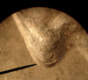 WashNOSE1.jpg