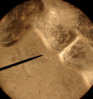 WashPROFILE3.jpg