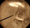 WashPROFILE32.jpg