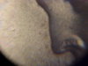 MVC-029S.JPG