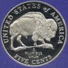 Buffalo1.jpg