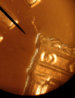pennybuilding1.jpg