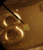 1987qtr8green.jpg