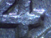 1964-D-10-DDO-200x.jpg