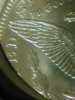 Dscn6599.jpg