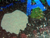 20121212_0014.jpg