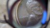 1936 ERROR PENNY_LIBERTY (5).jpg