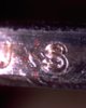 jefferson dollar A.jpg