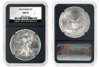 25th NGC retro holder.jpg